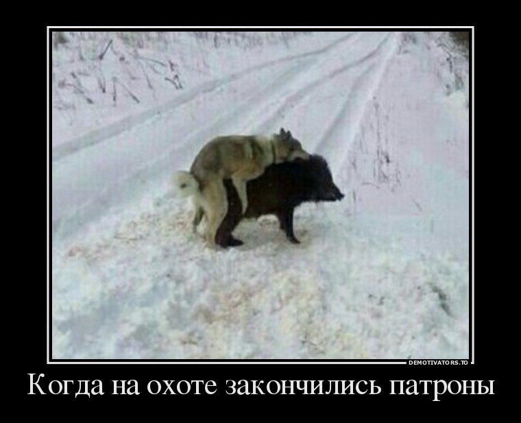      ? <a href=