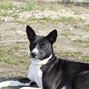 ���� ����, ���������� - ��������� 23 ������� 2016 � ������ ������