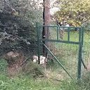 ���� ������ �������������, �������������, 60 ��� - ��������� 6 �������� 2016 � ������ ���� ����������