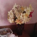 ���� ������, ���������, 51 ��� - ��������� 16 ��� 2016 � ������ ���� ����������