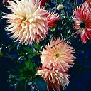 ���� ������, �����������, 64 ���� - ��������� 25 ���� 2016 � ������ �...���� ��������...�