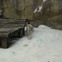 ���� ����, ������������, 35 ��� - ��������� 12 ���� 2016 � ������ �Moscow 2016 January�