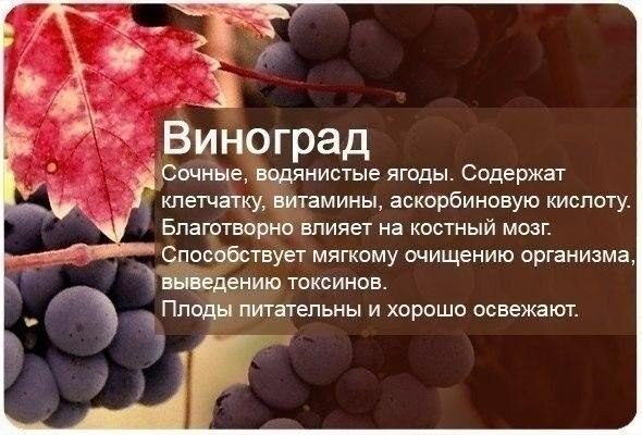     :).#_@bon - 8