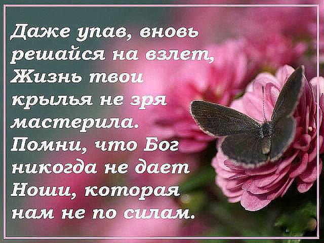   - 16  2016  11:45