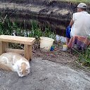 �� �������