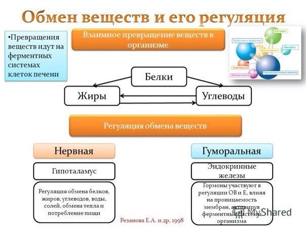 Форумы о бодибилдинге и фитнесе на Амбал.ру