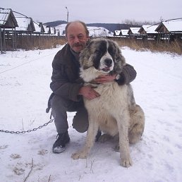 ������, ����������, 75 ���