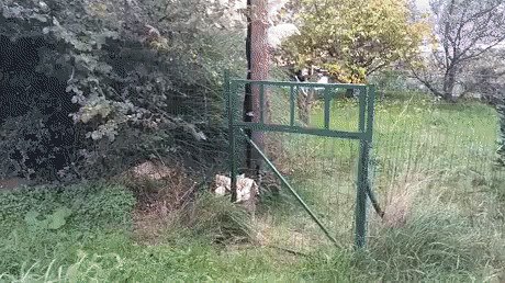 ���� ������ �������������, �������������, 60 ��� - ��������� 6 �������� 2016