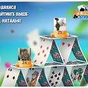 ���� ����� �����, �����-��-����, 63 ���� - ��������� 29 ����� 2016 � ������ �������� �������-�������
