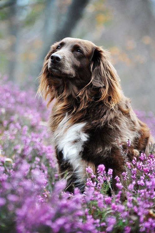    - 18  2016  17:51 - 2