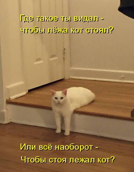    - 16  2016  04:11