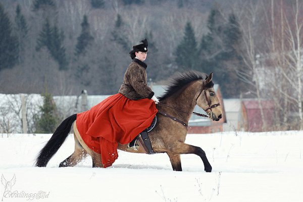 Верховая езда - это что-то сказочное! Ничто не может сравниться с ощущением полета, когда ты летишь ...