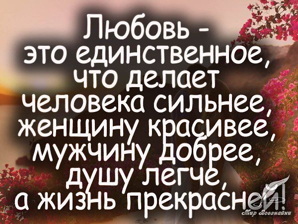   - vk.com/mirznaek