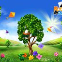 ���� �������, �������, 59 ��� - ��������� 30 ������ 2016 � ������ �������� �������-�������