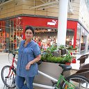  , - -  27  2016   ߻