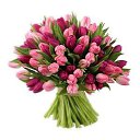 ���� *Ni��*, ������ - ��������� 6 ��� 2016 � ������ ���� ����������