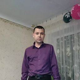 �����, ����-���������, 44 ����