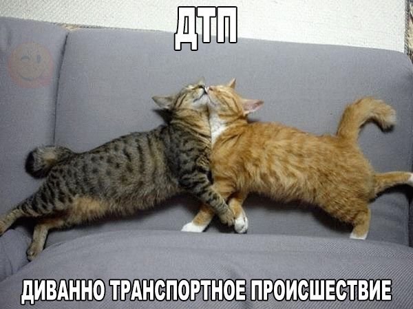    :D - 14  2016  10:07