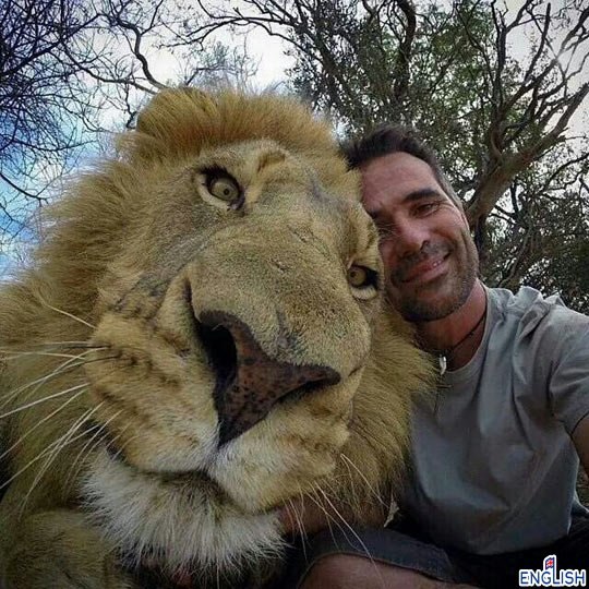 Probably The Best Selfie Ever