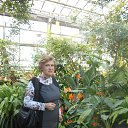 ���� ������, ������ - ��������� 11 ������ 2016 � ������ ������������� ���