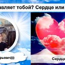 ���� ����, ���������, 31 ��� - ��������� 12 ������� 2016 � ������ ���� ����������
