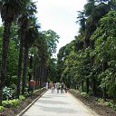 ���� �����, �����, 40 ��� - ��������� 8 ��� 2016 � ������ ������ ��������