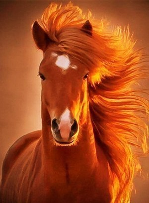 ���������� ����� https://fotostrana.ru/away?to=/sl/NAD2 - 3