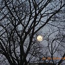 ���� ����, �����-��������� - ��������� 28 ����� 2016 � ������ ��������.�