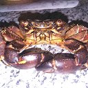 ���� Dj Ispanets, ��������� - ��������� 15 ������� 2016 � ������ ���� ����������