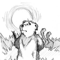 ����, ����, 49 ���