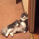 ���� �������, ������, 51 ��� - ��������� 20 ������ 2016 � ������ ������ ��������