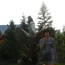 ���� ���, ����, 51 ��� - ��������� 1 �������� 2016 � ������ ���� ����������