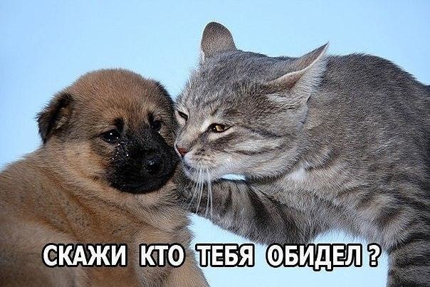  !