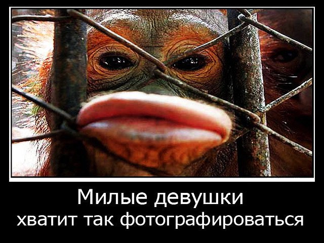   ,   ,   ...   ,!!!....  ...