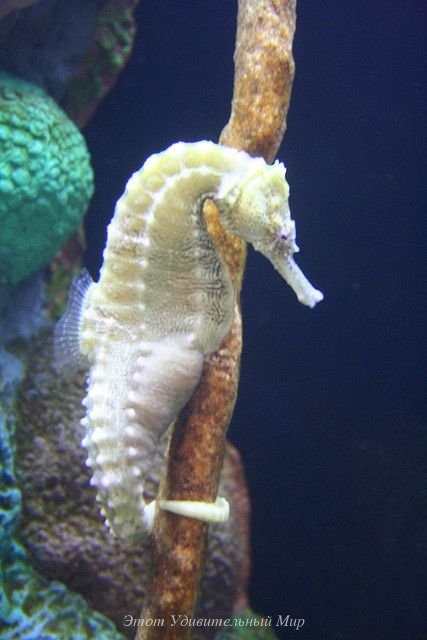 ����� ������� - 25 ����� 2016 � 18:14 - 3