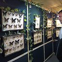 ���� �������, ���������, 40 ��� - ��������� 19 ������� 2016 � ������ ���� ���� �����