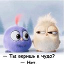  Happiness,  -  21  2016    