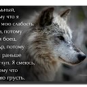 ���� ���, ���������, 101 ��� - ��������� 7 ���� 2016 � ������ ���� ����������