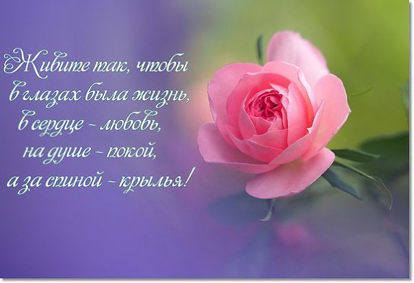 Цените моменты, собственной жизни, Они так прекрасны, бывают порой! Дышите свободой и ясностью ...