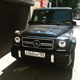 Mark, ������