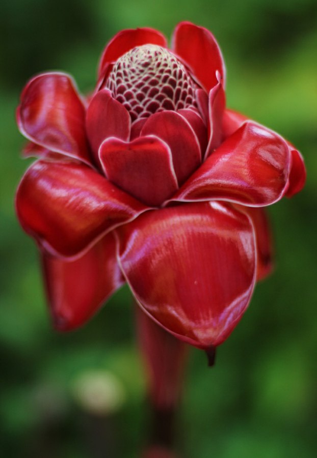 ������ ������....�����...