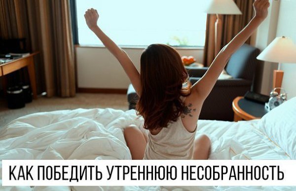 Как победить утреннюю несобранность? 1. Забудьте фразу «Я посплю ещё пять минуточек». Вставайте ...