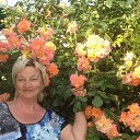 ���� �����, �����, 73 ���� - ��������� 9 ���� 2016 � ������ ���� ����������