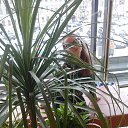 ���� �����, �����-��������� - ��������� 2 �������� 2016 � ������ ���� ����������