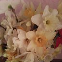 ���� ������, ���������, 51 ��� - ��������� 16 ��� 2016 � ������ ���� ����������