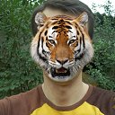 ���� �����, �������, 39 ��� - ��������� 24 ����� 2016 � ������ ���� ����������