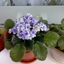 ���� �������, ���������� - ��������� 31 ����� 2016 � ������ ���� ����������