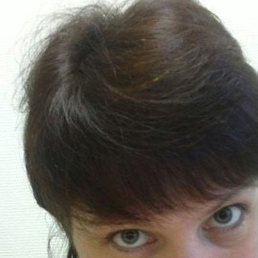 �����, ������� ��������, 49 ���