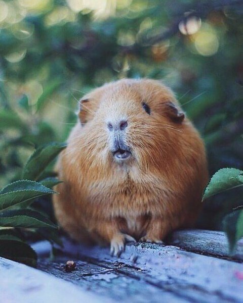 ��� �� ������� �������� - 6