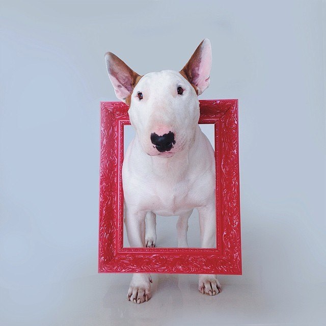 Уважаемые участники группы!)).Всем хорошего настроения в Буле-Городке))) Надеемся что в нашей группе ...